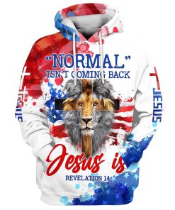 Lion Cross Normal Isn't Coming Back Jesus Is Hoodies Jesus Hoodie Men & Women, God 3D Printed Hoodie, Christian Apparel Hoodies