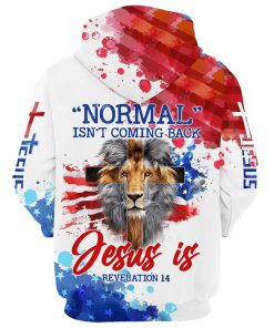 Lion Cross Normal Isn't Coming Back Jesus Is Hoodies Jesus Hoodie Men & Women, God 3D Printed Hoodie, Christian Apparel Hoodies