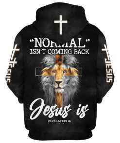Lion King Faith Cross Normal Isn't Coming Back Jesus Is Hoodies Jesus Hoodie Men & Women, God 3D Printed Hoodie, Christian Apparel Hoodies